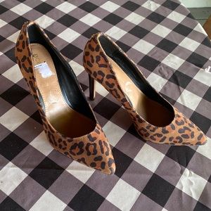 Leopard print pumps (727)